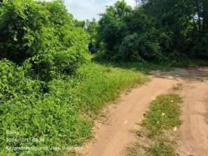 tanah belakang kecamatan cipocok kota serang banten. lokasi di Serang Kota, tersedia melalui melalui situs Olx