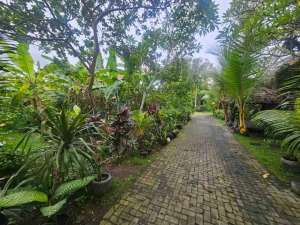 Tanah Beringin Dalung Kuta Utara lokasi di Kab. Badung, tersedia melalui melalui situs Olx