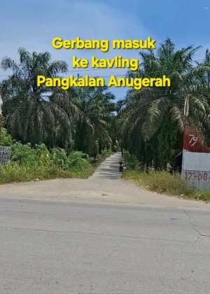 Tanah Bersertifikat bisa Di cicil 2th Bayarnya lokasi di Pekanbaru Kota, tersedia melalui melalui situs Olx