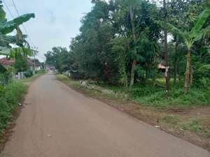 tanah berupa kebun 9000mtr rambutan mangga, durian di kalijati subang dekat exit tol kalijati lokasi di Subang Kab., tersedia melalui melalui situs Olx