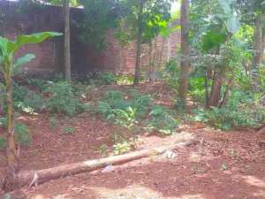 TANAH BISA DIBANGUN KOS2 AN DEKAT UNNES GUNUNG PATI lokasi di Semarang Kota, tersedia melalui melalui situs Olx