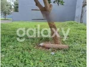 TANAH BUKIT PALMA, CITRALAND. POSISI HOOK. lokasi di Surabaya Kota, tersedia melalui melalui situs Olx