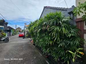 Tanah Cantik 3 Are Dijual, di Area Pura Demak Denpasar Barat lokasi di Denpasar Kota, tersedia melalui melalui situs Olx