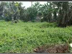 Tanah Cikande lokasi di Serang Kab., tersedia melalui melalui situs Olx