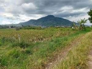 Tanah Cikeruh Jatinangor Jual LELANG lokasi di Sumedang Kab., tersedia melalui melalui situs Olx