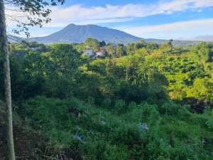 TANAH CISARUA PUNCAK lokasi di Bogor Kab., tersedia melalui melalui situs Olx