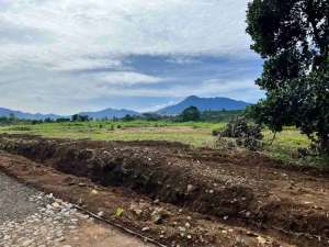 Tanah Cisarua Puncak Di Jual Luas 195m Legalitas Aman lokasi di Bogor Kab., tersedia melalui melalui situs Olx