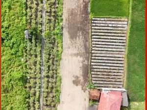 Tanah cocok Hunian dan villa di jalan damai kaliurang , SHM P unit lokasi di Yogyakarta Kota, tersedia melalui melalui situs Olx