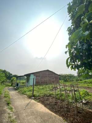 TANAH COCOK UNTUK INVEST JL PANGKALAN ASEM BEKASI lokasi di Bekasi Kota, tersedia melalui melalui situs Olx