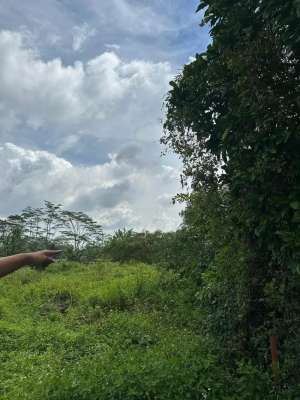 Tanah Cocok untuk Perumahan lokasi di Kendal Kab., tersedia melalui melalui situs Olx