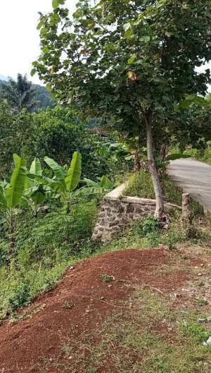 Tanah Cocok Untuk Villa Samping Irigasi View Ubud lokasi di Bandung Kab., tersedia melalui melalui situs Olx