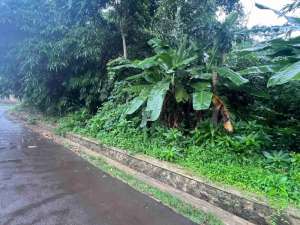 Tanah Curug Serang Banten6389m2 lokasi di Serang Kota, tersedia melalui melalui situs Olx