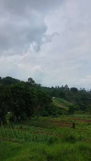 Tanah daerah Ciwidey Bandung view cantik cocok upertanian,wisata lokasi di Bandung Kab., tersedia melalui melalui situs Olx