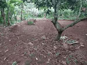 Tanah Daerah Perumahan Di Situsari Cileungsi Kab Bogor lokasi di Bogor Kab., tersedia melalui melalui situs Olx