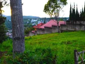 Tanah dago giri disebelah cottage cocok untuk villa lokasi di Bandung Kota, tersedia melalui melalui situs Olx