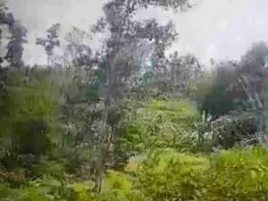 Tanah dan Bangunan Dijual lokasi di Tangerang Kab., tersedia melalui melalui situs Olx