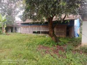 TANAH DARAT MURAH STRATEGIS DI BABAKAN CISEENG PARUNG BOGOR lokasi di Bogor Kab., tersedia melalui melalui situs Olx