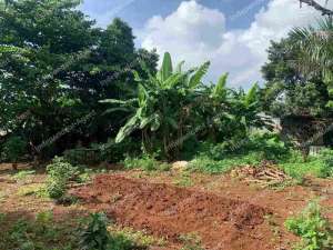 Tanah Darat Sangat Strategis di Duren Sawit Jakarta Timur lokasi di Jakarta Timur, tersedia melalui melalui situs Olx