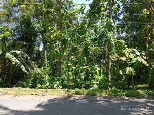 Tanah Darat Siap Bangun lokasi di Banyumas Kab., tersedia melalui melalui situs Olx