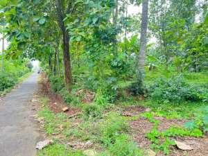 Tanah Datar 600m2 225Jt Barat Pasar Mojogedang Karanganyar lokasi di Karanganyar Kab., tersedia melalui melalui situs Olx