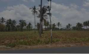 TANAH DATAR LOKASI KROMENGAN KABUPATEN MALANG lokasi di Malang Kab., tersedia melalui melalui situs Olx