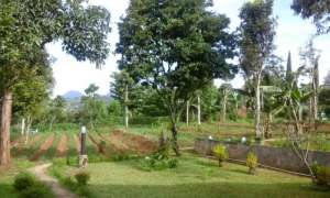 Tanah DatarView Keren Di Tenjolaya Ciwidey Bandung lokasi di Bandung Kab., tersedia melalui melalui situs Olx