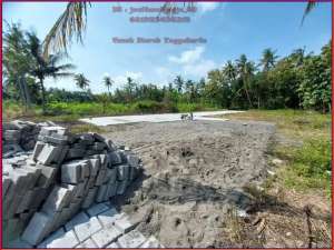 Tanah dekat Bandara YIA Kulonprogo ,SHM P READY lokasi di Sleman Kab., tersedia melalui melalui situs Olx