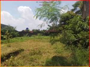 Tanah dekat Candi Prambanan Shm P tepi aspal Jl LPMP lokasi di Yogyakarta Kota, tersedia melalui melalui situs Olx