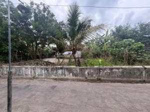 Tanah dekat Exit toll Prambanan, SHM P unit lokasi di Sleman Kab., tersedia melalui melalui situs Olx