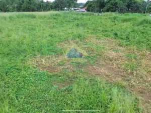 TANAH DEKAT GADING SERPONG Dijual Tanah Di Jl. Raya Karawaci, Tangerang lokasi di Tangerang Kota, tersedia melalui melalui situs Olx