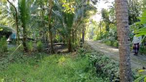 Tanah dekat kampus Atmajaya kulonprogo lokasi di Kulon Progo Kab., tersedia melalui melalui situs Olx