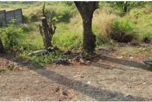 Tanah dekat pintu Toll Ciperna Cirebon lokasi di Cirebon Kab., tersedia melalui melalui situs Olx