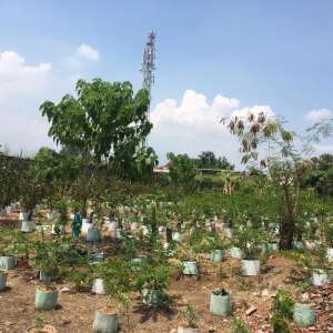 Tanah depan jalan raya serta perempatan lokasi di Pasuruan Kab., tersedia melalui melalui situs Olx