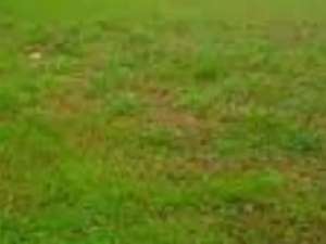 Tanah Desa Bakalan Wringinpitu Balongbendo, Sidoarjo lokasi di Sidoarjo  Kab., tersedia melalui melalui situs Olx