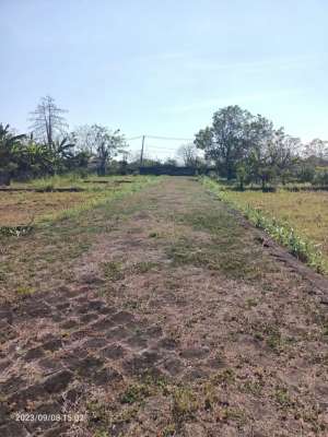 Tanah di Balangan Bali hanya 900 meter dari Pantai lokasi di Kab. Badung, tersedia melalui melalui situs Olx
