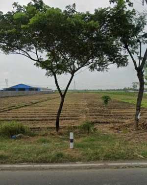 Tanah di Brebes cocok untuk gudang dan pabrik lokasi di Brebes Kab., tersedia melalui melalui situs Olx