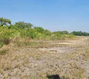 Tanah di Bukit Darmo Golf Surabaya Barat Masih Bagus lokasi di Surabaya Kota, tersedia melalui melalui situs Olx