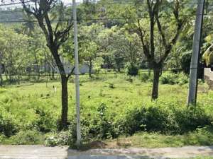 Tanah di central kuta Mandalika Lombok. Cocok utk semua jenis usaha lokasi di Lombok Tengah Kab., tersedia melalui melalui situs Olx