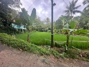 Tanah di CIJERUK dijual lokasi di Bogor Kota, tersedia melalui melalui situs Olx