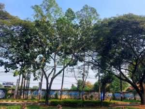 TANAH DI CIKUPA TANGERANG lokasi di Tangerang Kab., tersedia melalui melalui situs Olx