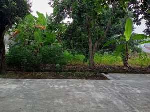 Tanah di dalam komplek Pertamina Klayan Cirebon lokasi di Cirebon Kab., tersedia melalui melalui situs Olx