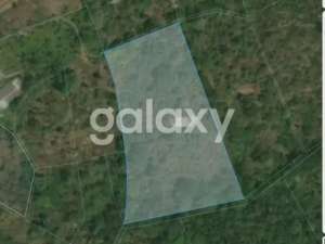 TANAH DI DESA SADA PUPUAN TABANAN, BALI lokasi di Tabanan Kab., tersedia melalui melalui situs Olx