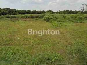 Tanah Di Gantar Indramayu lokasi di Indramayu Kab., tersedia melalui melalui situs Olx