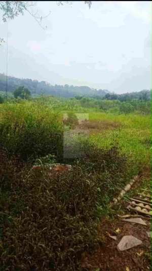 tanah di gunung Sindur Bogor lokasi di Bogor Kab., tersedia melalui melalui situs Olx