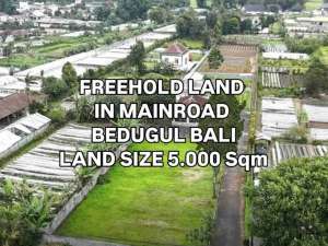 Tanah di Jalan Utama 500m dari Bali Handara Bedugul Bali lokasi di Buleleng Kab., tersedia melalui melalui situs Olx