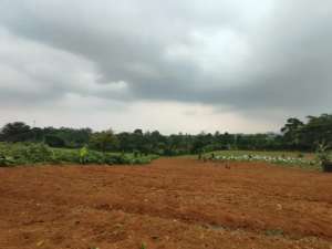 TANAH DI JANTUNG CALON KABUPATEN BOGOR TIMUR, HARGA MASIH PERDANA lokasi di Bogor Kab., tersedia melalui melalui situs Olx