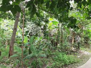 Tanah di Jatikramat Jati Bening Bekasi lokasi di Bekasi Kota, tersedia melalui melalui situs Olx