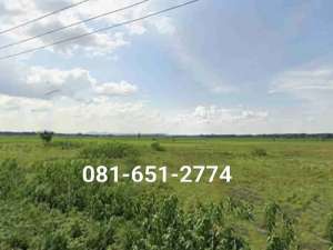 Tanah di Jombang Ploso lokasi di Jombang  Kab., tersedia melalui melalui situs Olx