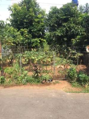 Tanah di Jual dalam Real Estate di Pondok Kelapa Jakarta Timur lokasi di Bekasi Kota, tersedia melalui melalui situs Olx