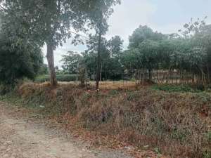 tanah di jual harga termurah lokasi di Tajurhalang, tersedia melalui melalui situs Olx